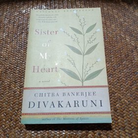 Sister of My Heart: A Novel