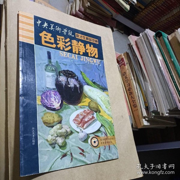 中央美术学院高才生精品范画：色彩静物