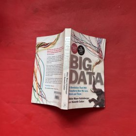 Big Data：A Revolution That Will Transform How We Live, Work, and Think