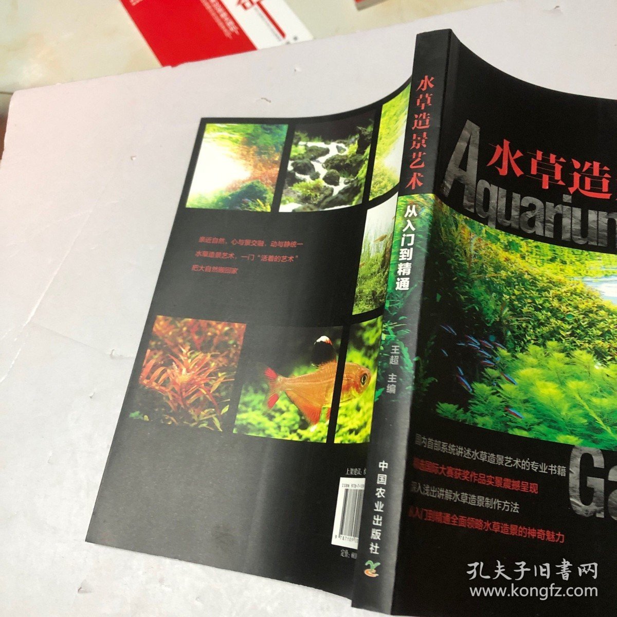 水草造景艺术：从入门到精通