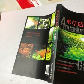 水草造景艺术：从入门到精通