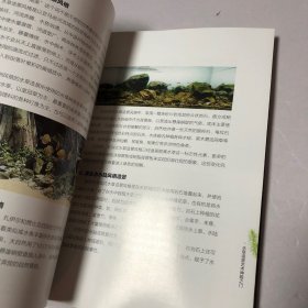 水草造景艺术：从入门到精通