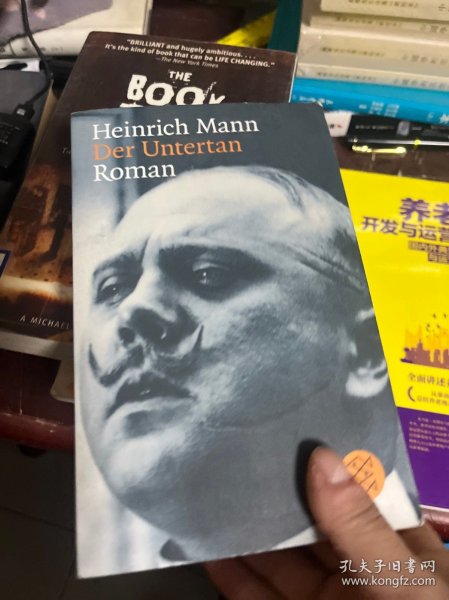 HEINRICH MANN DER UNTERTAN ROMAN