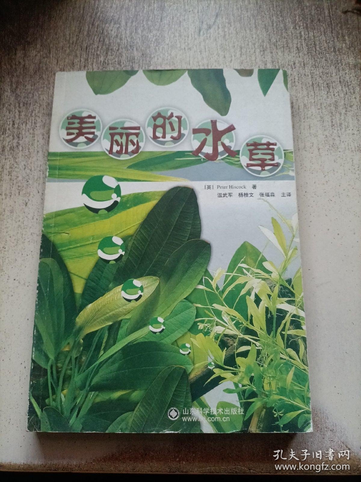 美丽的水草