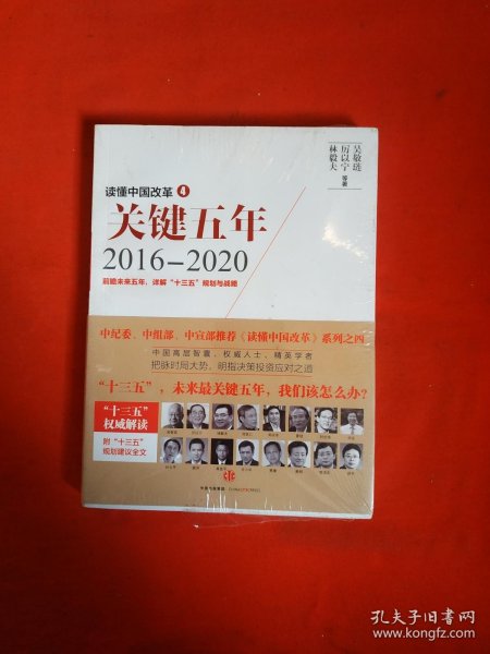 读懂中国改革4：关键五年2016--2020