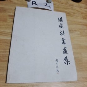 孙晓材书画集 签名册