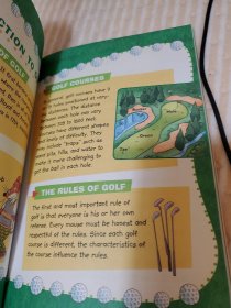 Geronimo Stilton #44: The Giant Diamond Robbery 老鼠记者44