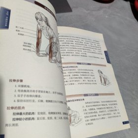 拉伸运动系统训练：全彩图解第2版