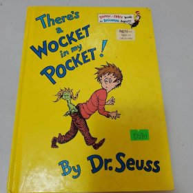 There's a Wocket in my pocket!