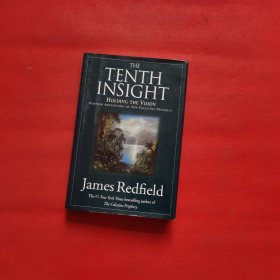 THE TENTH INSIGHT holding the vision /James Redfield warner（精装）