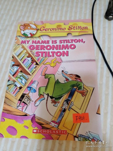 Geronimo Stilton #19: My Name is Stilton Geronimo Stilton  老鼠记者19：寻找失落的斯蒂尔顿