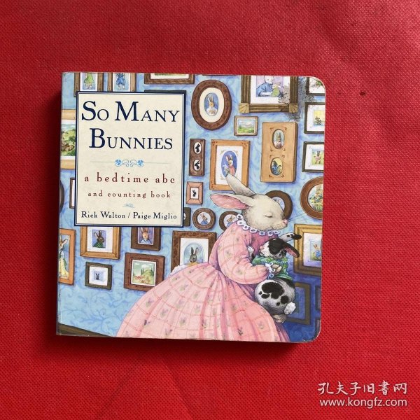 So Many Bunnies：a bedtime abc and counting book