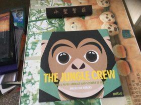 THE JUNGLE CREW 实拍