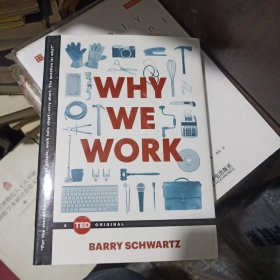 Why We Work