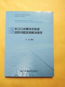 长江口北槽深水航道回淤问题及其解决途径