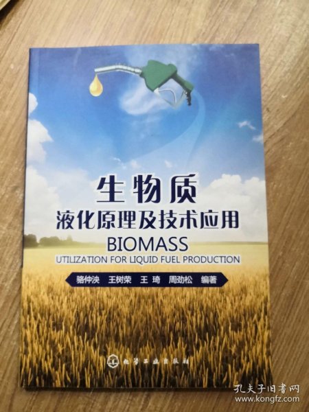 生物质液化原理及技术应用