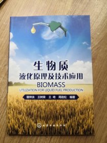 生物质液化原理及技术应用