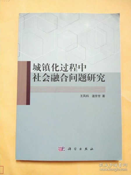 城镇化过程中社会融合问题研究