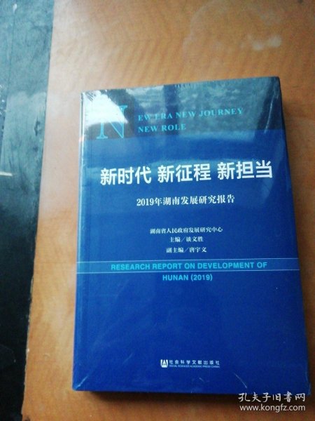 新时代新征程新担当——2019年湖南发展研究报告