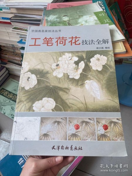 中国画名家技法丛书：工笔荷花技法全解