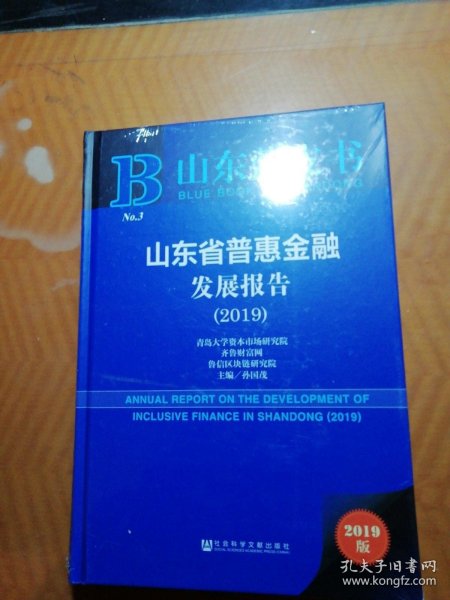 山东蓝皮书：山东省普惠金融发展报告（2019）