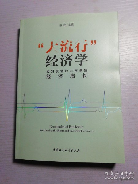 “大流行”经济学——应对疫情冲击与恢复经济增长