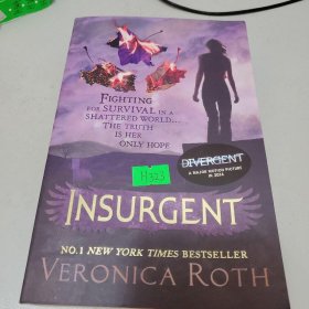 Insurgent (Divergent Trilogy #2)分歧者2：叛乱者 英文原版