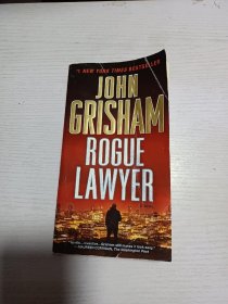 Rogue Lawyer A Novel