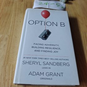 Option B: Facing Adversity  Building Resilience  and Finding Joy