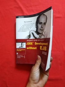 expert one-on-one J2EE Development without EJB 中文版