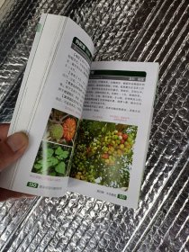 亲近大自然系列：野菜鉴别与食用手册（第2版）