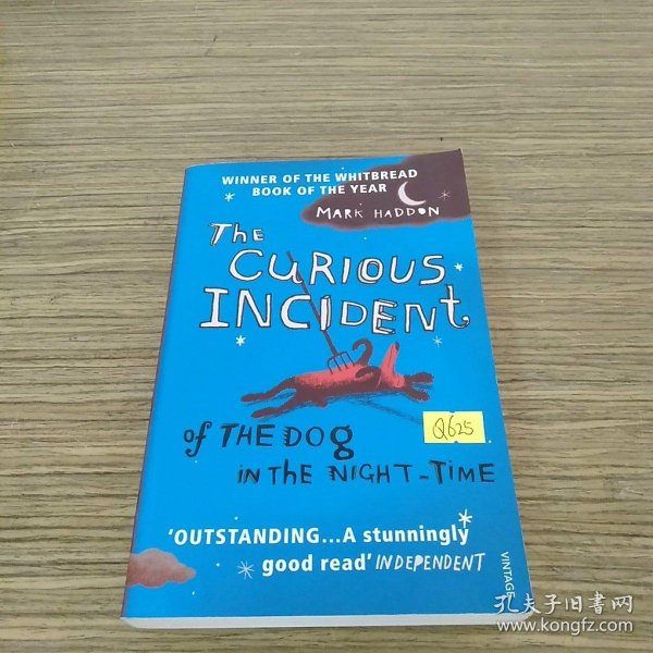 The Curious Incident of the Dog in the Night-time