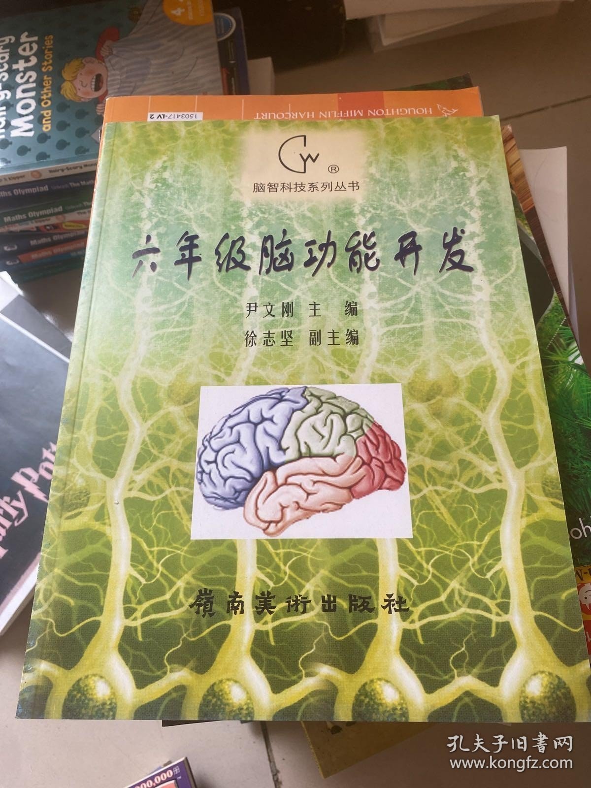 脑智科技系列丛书。六年级脑功能开发