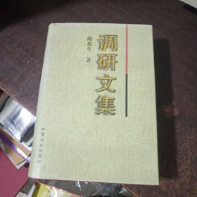 调研文集