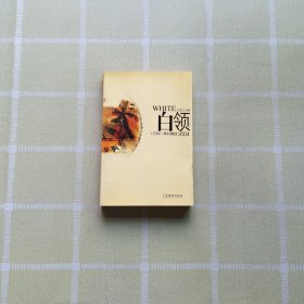 白领2004:《万科》周刊精选