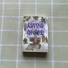 大清皇帝奇聞秘史
