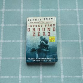 REPORT FROM GROUND ZERO