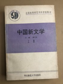 中国新文学 上