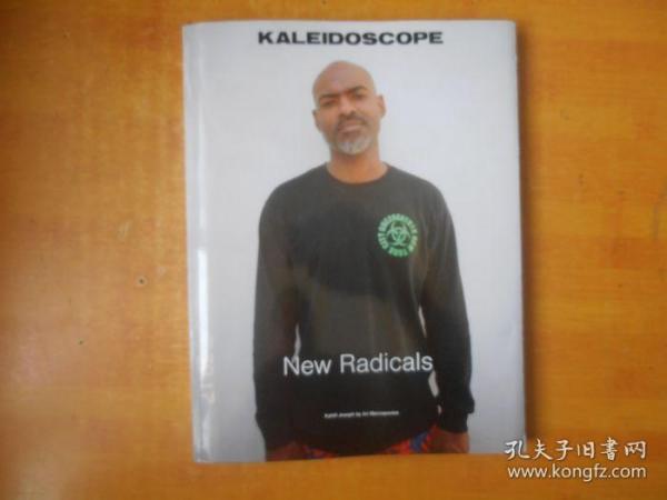 KALEIDOSCOPE NEW RADICALS；万花筒，新激进分子【英文原版 书名以图为准】