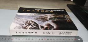 生命的从容