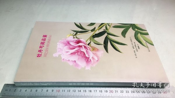 牡丹芍药品鉴：园艺爱好者的典藏名品