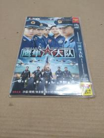 DVD 鹰隼大队 2碟装