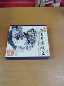 写意紫藤技法 二碟装VCD