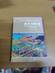 新小农阶级：帝国和全球化时代为了自主性和可持续性的斗争 内页干净 叶敬忠签赠本