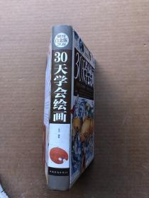 30天学会绘画（超值全彩白金版）