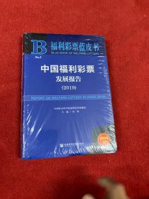 福利彩票蓝皮书：中国福利彩票发展报告（2019）