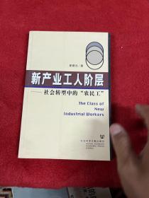 新产业工人阶层：社会转型中的“农民工”