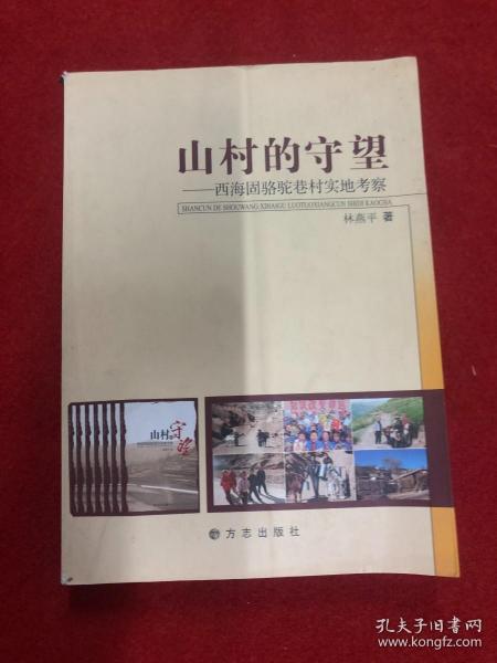 山村的守望:西海固骆驼巷村实地考察