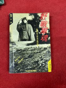 野战军魂:一野将士铁血大西北征战纪实