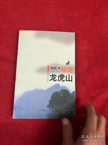 畅游龙虎山